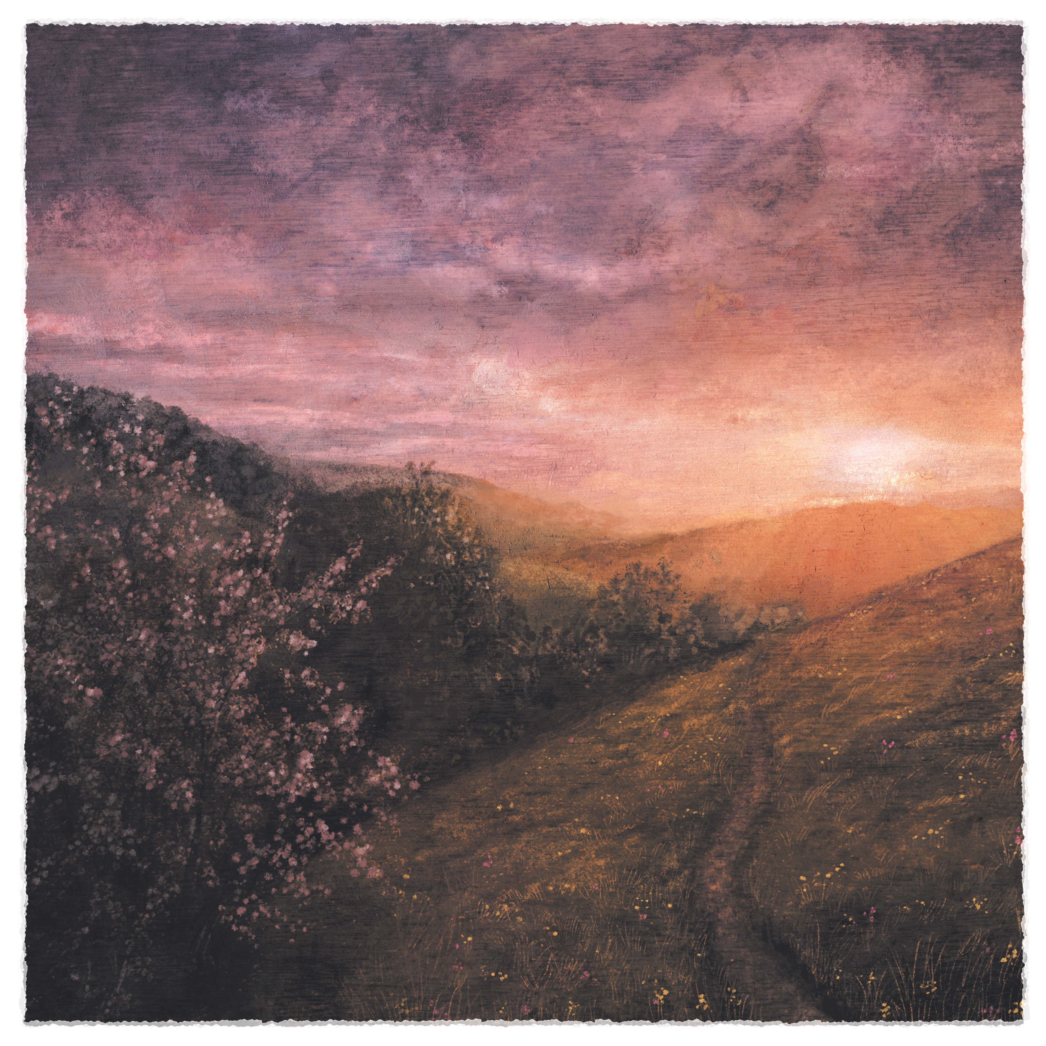 Sam Sweeney / Grace Smith — Morning of May